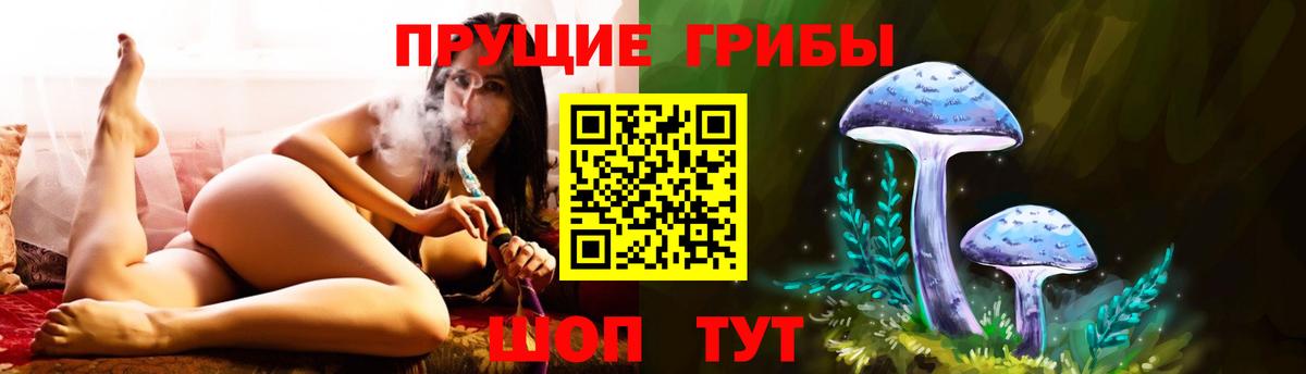 Галлюциногенные грибы Cubensis Выкса
